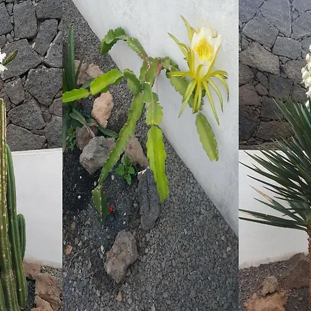 Direktly At Our Swimming Pool - Relax - Aduls Only 아파트 티아즈